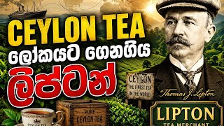 සිලෝන් Tea ලොව ජයගත් අයුරු: How Ceylon Tea Conquered the World | Ceylon History | Sri Lanka