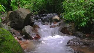 Soothing River Flow – Stress Relief Nature Sounds for Mind and Body