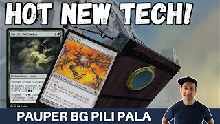 BRAND NEW PLAN! Pauper Golgari Pili-Pala Combo has streamlined mana and still gets haste for OTK!