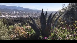 LA Secret Spot - Quiet & Beautiful // Ginger Adventurez //