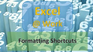 Formatting Shortcuts | Excel Tips & Tricks | Excel @ Work | The S.I.L.K Route
