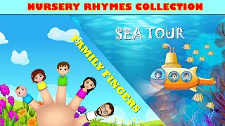 Finger Family and More Nursery Rhymes & Kids Songs (SPICE KIDZ) | With Lyrics.
