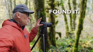 Chasing the Last Autumn Colour on Vancouver Island