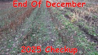 End Of December 2025 Farm Cover Crops And Honey Bee Check With FLIR