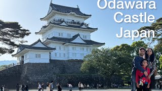 One Day Trip from Tokyo | Odawara Castle,Samurai Museum Japan Family Travel Vlog 