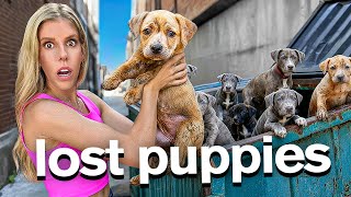 I Found 8 Lost Puppies in a Dumpster