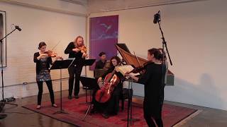 Rezonance Vivaldi Performance Clips