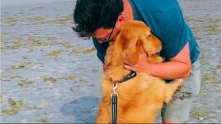 He Was Saved from a Meat Truck… and Found a Brother Who Already Knew His Soul 😢🐾