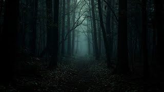 Dark Ambient Music - Abyssal Forest