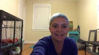 Exploring the Yamas - Class 1 - Ahimsa