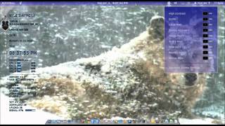 Linux Regal Athena Live Wall, with conky