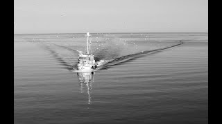 Crossing the Line: 1970's Lobster Wars on Cape Cod