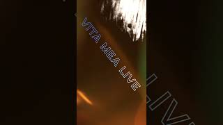 Vita Mea Live - Forever Love [Version Club Mnml Dub]