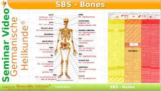 Bones - Trailer