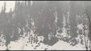 Heavy Snowfall in Kashmir | Live Visuals