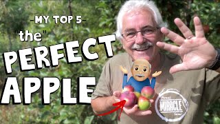 5 APPLES YOU HAVE TO TRY! (ORGANICALLY GROWN)