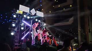 ALPINE PRO AUDIO