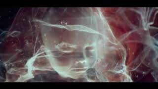 björk : tneicna si erutan/nature is ancient/my snare (tour visual) [reversed backwards]