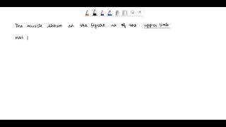 The muscle? a. Trapezius b. Rhomboid major c. Rectus abdominis d. Gluteus maximus e. All of the abo…