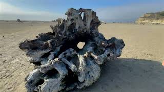 Hidden Gem: San Gregorio State Beach | California's Most Scenic Hidden Coast / Sony ZV-1 II