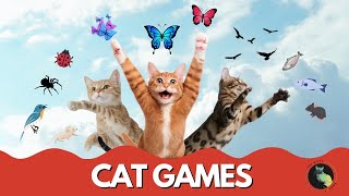 Cat TV – 1+ Hour of Games for Cats | Catching Birds, Fish, Mice & Bugs🐱🎯