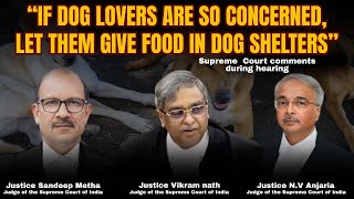 Supreme Court weighs Human Safety along with Dogs Rights || Stray Dogs Hearing #straydogs #animals