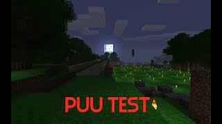Puucraft recording [test01]