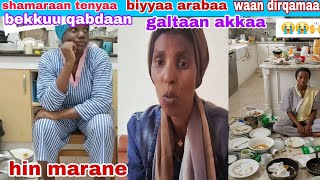 #shamaraan tenyaa biyaa arabaa galtee marachuu yoo hin fennee diramaa waan bekuu qabdaan 