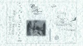 Optic Nerve - Famous