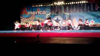 Stallion All Stars Seniors