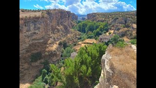 Look at the World in Wonder