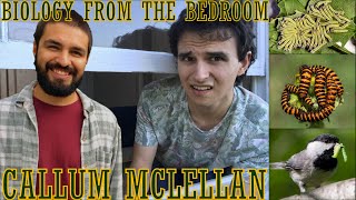 Caterpillar Congregations - BIOLOGY FROM THE BEDROOM EP10