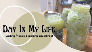Day In My VEGAN Life // road trip to Silverado, making sauerkraut and creating conscious community