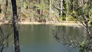 Velnezers,Озеро Черток.🫣✨#lake #nature