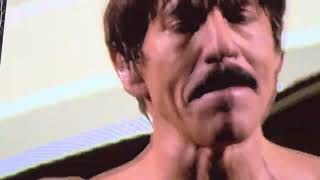 RHCP  Suck My Kiss Live Tour 2023 @ Vienna (Stadion Ernst Happel) 14.7.2023.