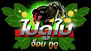ไปดูใบ - JOB2DO (จ็อบ บรรจบ) Official [audio]