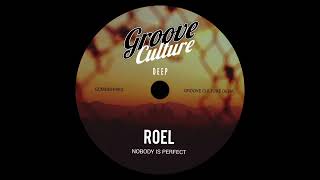 Roel - Nobody Is Perfect