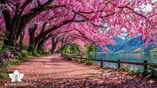 Spring Bloom Garden - Music Therapy 🌿Calms the Nervous system, Reduces Stress and Negative Thoughts
