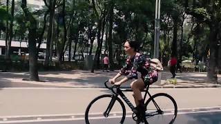 Fixie Chicks Mexico City