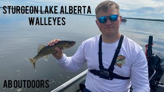 STRUGEON LAKE ALBERTA WALLEYES