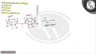 Maltose on treatment with dilute \( \mathrm{HCl} \) gives: (a) D-ga...