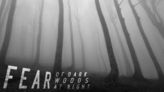 [WILL CAUSE UNREST] Nyctohylophobia: Fear The Dark Forest At Night