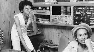 Bob Marley & The Wailers - Crazy Baldhead (Mash Up Dub Remix)