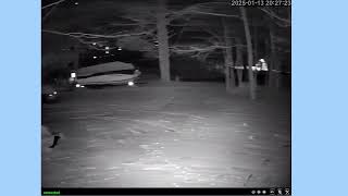 Driveway SHORT  * clip of TJ's LIVE stream too ....