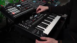 Day XXIII [TAMED SPIRIT] / #jamuary2019