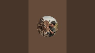 Arjun Farming Vlogs  is live