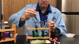 Live from the lab at the Creation Museum