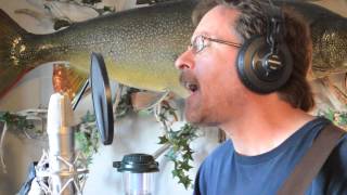 Bob Dylan, You Ain't Going Nowhere - covered by Mark Barnes