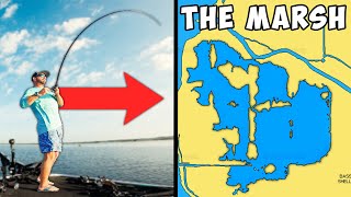 Harris Chain of Lakes Breakdown "THE MARSH"