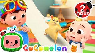 Hamster Maze & Obstacle Course Challenge! | 2 HOURS of CoComelon Kids Songs & Nursery Rhymes